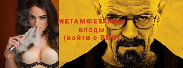 гидра Ельня