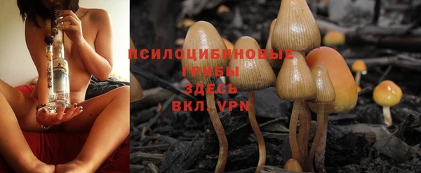 гашик Елизово