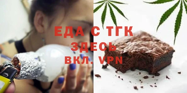 гидра Ельня