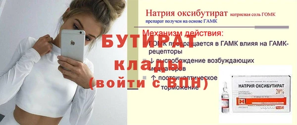 гидра Ельня