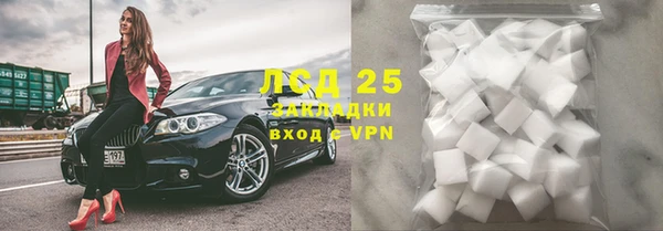 гидра Ельня