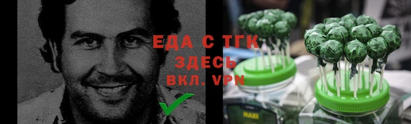 гидра Ельня