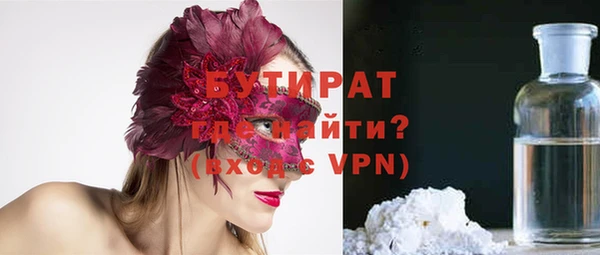 гидра Ельня