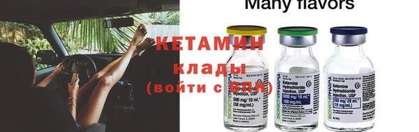 гидра Ельня