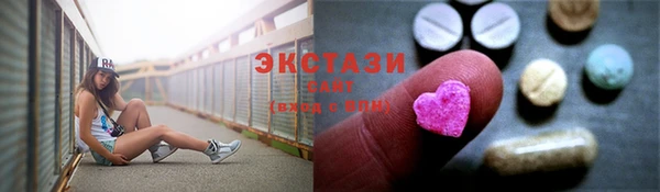 гидра Ельня