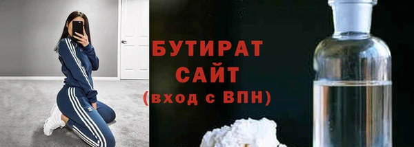 гидра Ельня