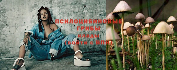 гашик Елизово