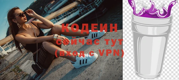гашик Елизово