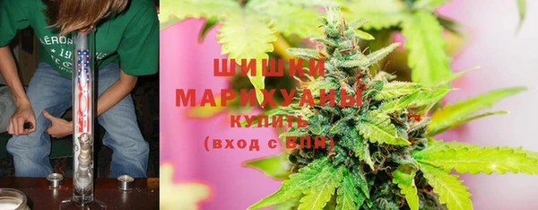 гидра Ельня