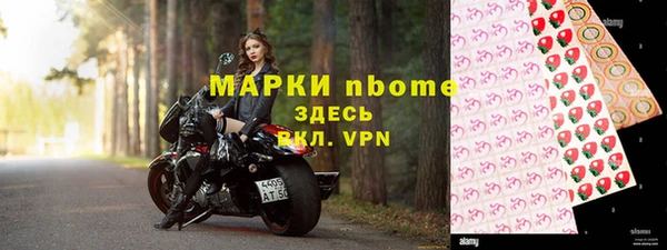 гидра Ельня