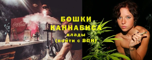 гашик Елизово