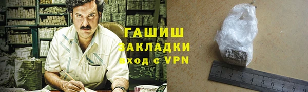 гидра Ельня